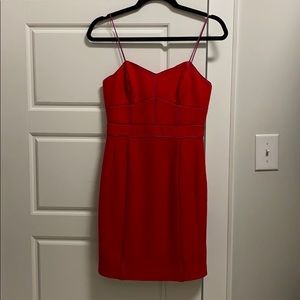 Winter Cocktail Dress